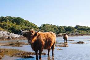 Village of Benderloch